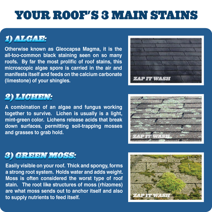 roof-cleaning-charlotte-nc roof-cleaning-stains