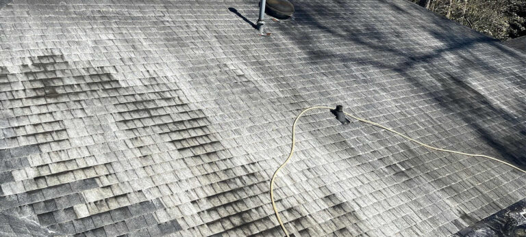 roof-cleaning-service